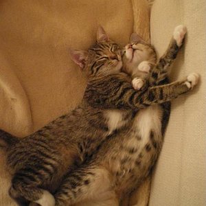 Geschwisterliebe Teil 2