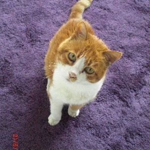 klc7o4745k cimg5505[1]