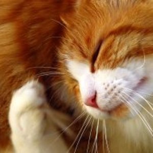 MG 4900 222 20.09.2011 15 17 30