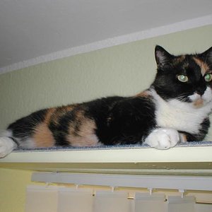 P1010090
Laila auf dem Catwalk.