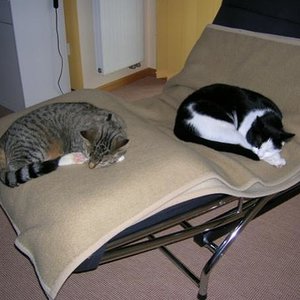 die beiden Süßen einträchtig beieinander