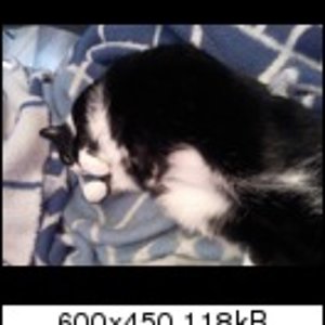 Kikki - Unsere Prinzessin