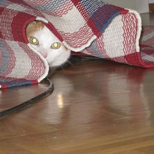 Guckuck! Ich hab' mir eine Höhle gebastelt :))