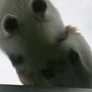 Warum immer alles von einer Seite betrachten, wenn es doch so viele Möglichkeiten gibt?