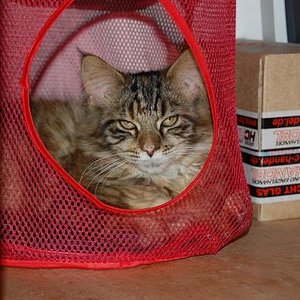 Tiffanis neuer Lieblingsplatz 1