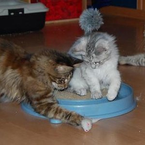 Tiffany und Velvet 2