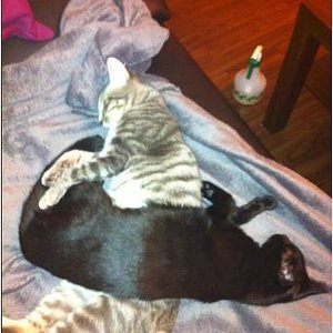 weils so bequem ist...