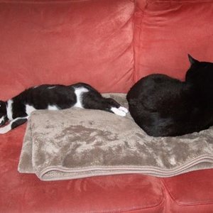 Micki, die kleine Wurst