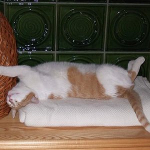 Pelle auf der Uffabänk