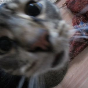 jaaa doof gucken kann er :)