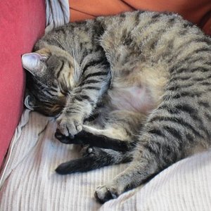 eines von so vielen schlaffotos :)