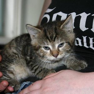 und Amelia mit etwa 6 Wochen