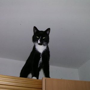 bild123001    verkleinert