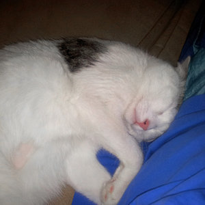 Ich muss immer Kontakt haben (Handyfoto)