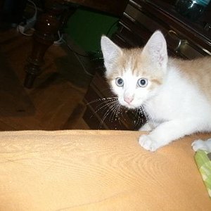 War er da noch "klein"