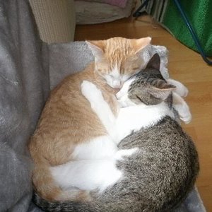 Ein Herz und eine Seele