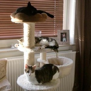 376254 331830030164665 100000130136015 1524250 1017359144 n