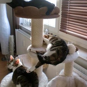 391891 331830090164659 100000130136015 1524251 1172307433 n