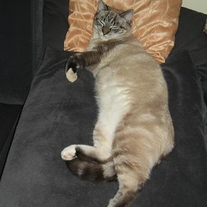 Pascha macht seinem Namen aller Ehren