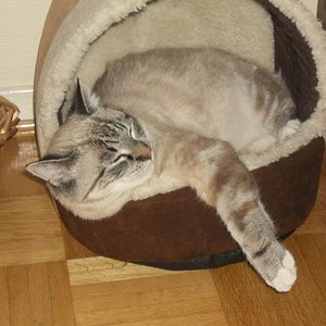 sollte ich mit 7 Monaten etwa schon zu groß sein, für diese Unterkunft