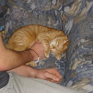 maya in ihrem sessel