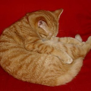 Da war wohl jemand sehr müde &&' ist beim putzen eingeschlafen :D