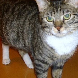 der erste tag an dem sie wieder da war!