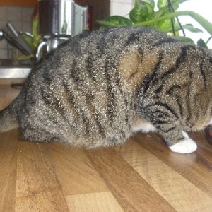 Letzte woche (27.01.12)