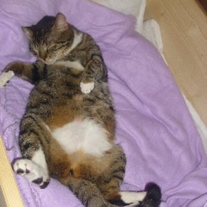 Gestern (9.02.12)
total fix und alle !