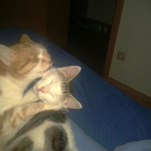 Da geniesst einer das Putzen