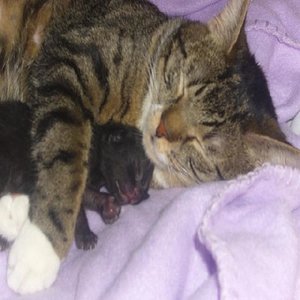 mit ein männlichen möppelchen am schmusen :-)