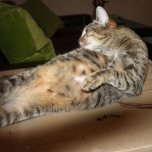 Unser Neuzugang Lucy