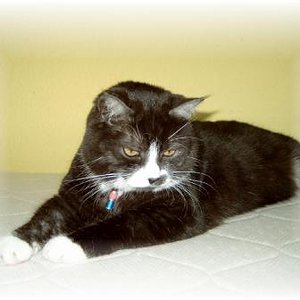 charles 16.02.03
wir vermissen Dich