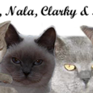 Katzenforum SIGNATUR