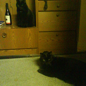 Francis und Felicitas