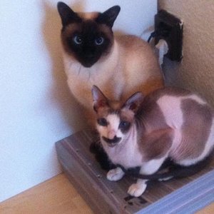 Unser Lieblingsplatz