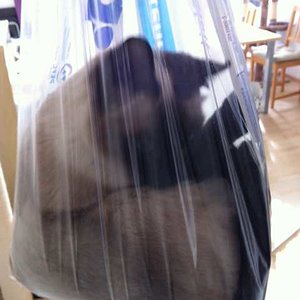 Ich habe wohl die Katze im "Sack" :)