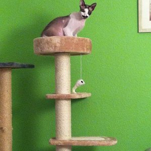 Endlich ein KB mit Stufen! Nun komme auch ich hinauf :)