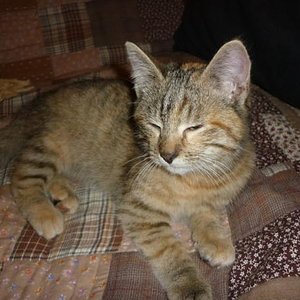 basteth als sie noch 2 monate alt war