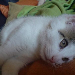 Auf dem Sofa beim ausruhen