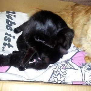 Papa kam mal schnuppern