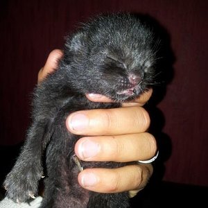 Lui unser 1. Geborener