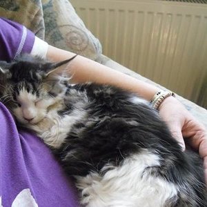 Kuscheln bei meiner "neuen" Mama :)