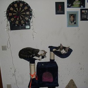 Sunny (3Jahre alt) begrüsst Peppone :)