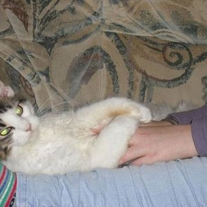 hmmm ... Bauchkraulen. Das war schööön :)