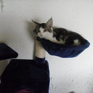 Mein neuer Schlafplatz (davon gibt es sogar gleich zwei stück :D )