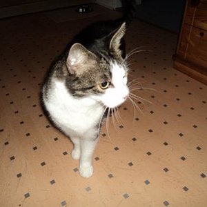 Tommy auf Endeckungstour am Tag der Ankunft