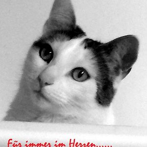 für immer in meinem herzen