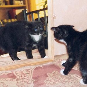 erste Begegnung mit dem Spiegel