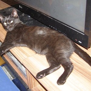 ein älteres Bild von Kobolt Ranger